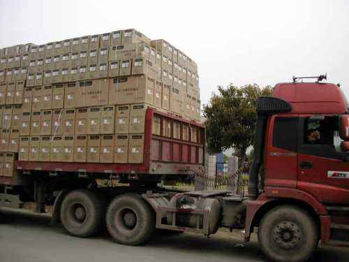 ̩�d������������(zhu��n)��(xi��n)